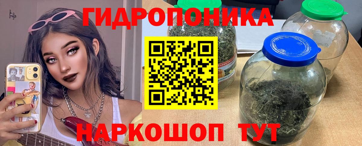 Амурск  Конопля SATIVA & INDICA  Конопля AK-47  Конопля семена  Вход с VPN 
